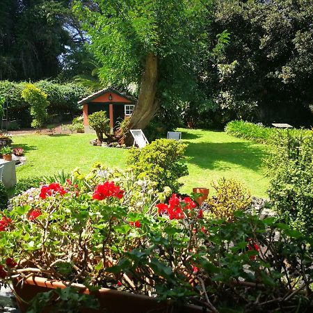 Jardines De Hortensia - Vacation Home Tenerife La Laguna  Zewnętrze zdjęcie