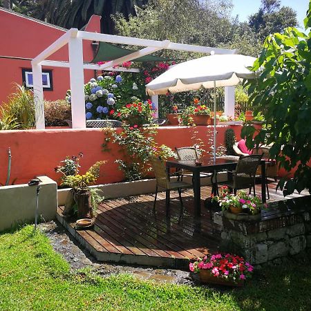 Jardines De Hortensia - Vacation Home Tenerife La Laguna  Zewnętrze zdjęcie