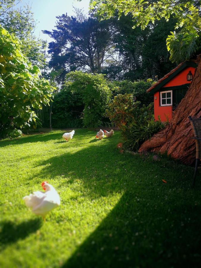 Jardines De Hortensia - Vacation Home Tenerife La Laguna  Zewnętrze zdjęcie