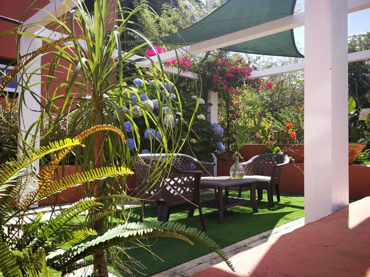 Jardines De Hortensia - Vacation Home Tenerife La Laguna  Zewnętrze zdjęcie