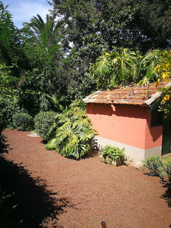 Jardines De Hortensia - Vacation Home Tenerife La Laguna  Zewnętrze zdjęcie