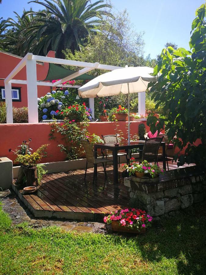 Jardines De Hortensia - Vacation Home Tenerife La Laguna  Zewnętrze zdjęcie