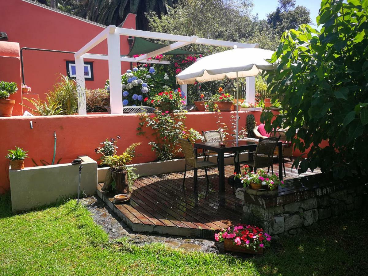 Jardines De Hortensia - Vacation Home Tenerife La Laguna  Zewnętrze zdjęcie